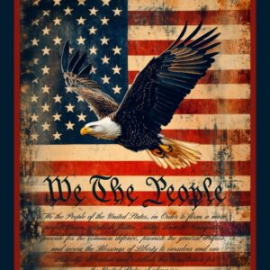 45" We The People Panel