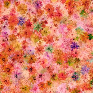 45" MDG Wild Petals Digital