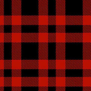 45" Blank Quilting Plaid Essentials