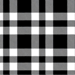45" Blank Quilting Plaid Essentials