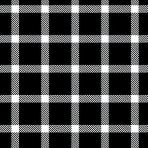 45" Blank Quilting Plaid Essentials