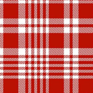 45" Blank Quilting Plaid Essentials