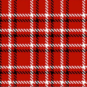 45" Blank Quilting Plaid Essentials