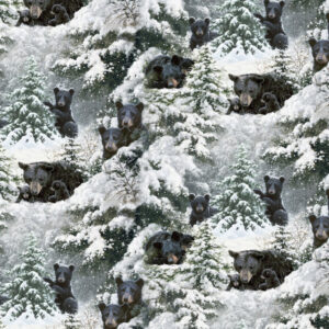 45" 3 Wishes Fabric Under The Moonlight