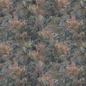 45" 3 Wishes Fabric Under The Moonlight