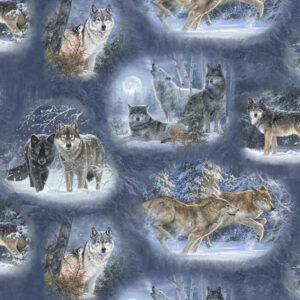 45" 3 Wishes Fabric Under The Moonlight