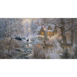 45" 3 Wishes Fabric Under The Moonlight 24" Panel