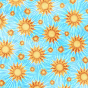 45" Quilting Treasures Rise Up