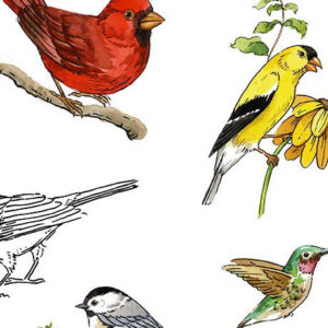 45" Quilting Treasures Drawn to Birds