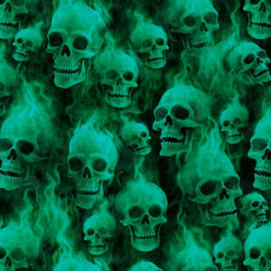 45" Quilting Treasures Gotta Have It