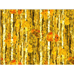 45" Oasis Fabrics Fall Classic Birch Trees