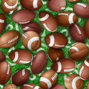 45" Oasis Fabrics Play Ball Footballs