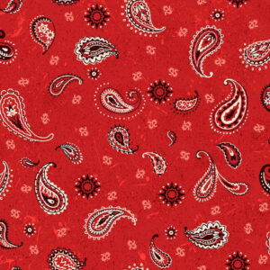 45" Oasis Fabrics Round Up Bandana