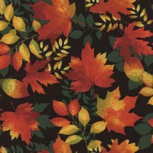 45" Studio E Fabrics Seeds of Gratitude