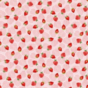 45" Timeless Treasures Fruit