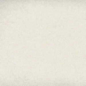 45" White On Tint Print