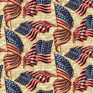 45" We Pledge Allegiance
