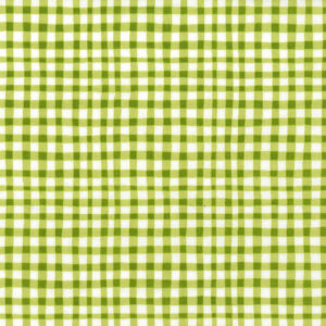 45" Michael Miller Gingham Play