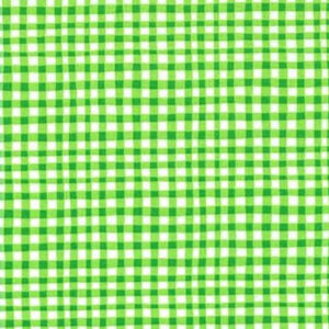 45" Michael Miller Gingham Play