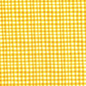 45" Michael Miller Gingham Play