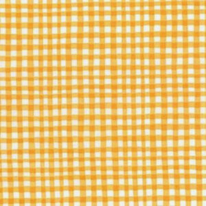 45" Michael Miller Gingham Play