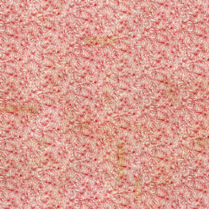 45" Free Spirit Fabric Holidays Past