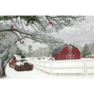 45" Hoffman Fabrics Frosted Holidays