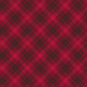 45" Windham Fabrics Rory