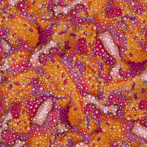 45" Studio E Fabrics Stay Magical