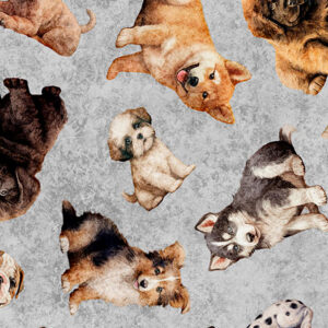 45" Quilting Treasures QT Cuties 2