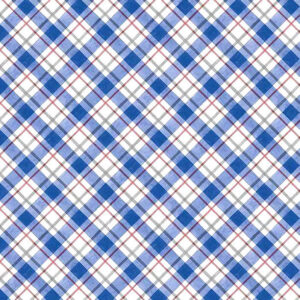 45" Wilmington Prints Country Blue